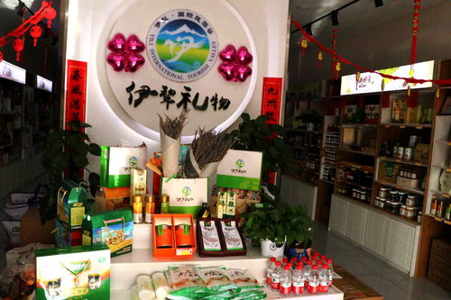 文化創意點亮絲路 新疆伊犁第三屆‘伊犁禮物’文旅商品創意設計大賽正式啟動